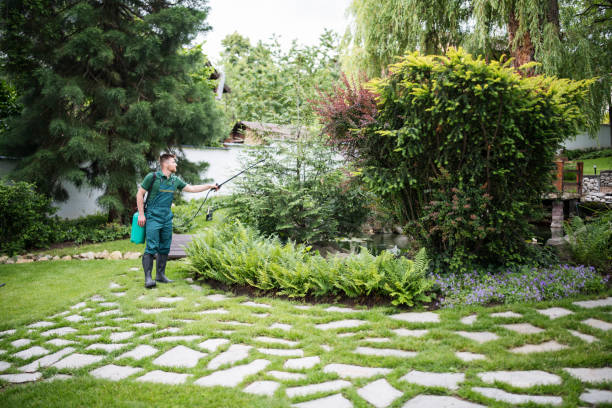 Best Pest Inspection Near Me  in Galatia, IL